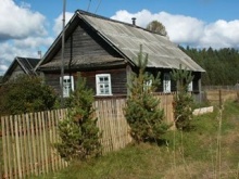 Дома на озёрах в Новиках