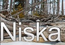 База отдыха "Niska"